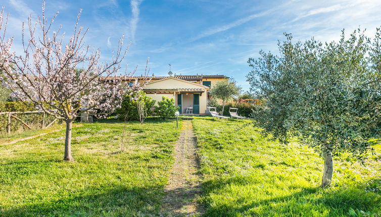 Photo 1 - Appartement de 1 chambre à Santa Luce avec piscine et jardin