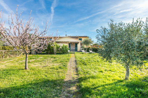 Foto 1 - Appartamento con 1 camera da letto a Santa Luce con piscina e giardino