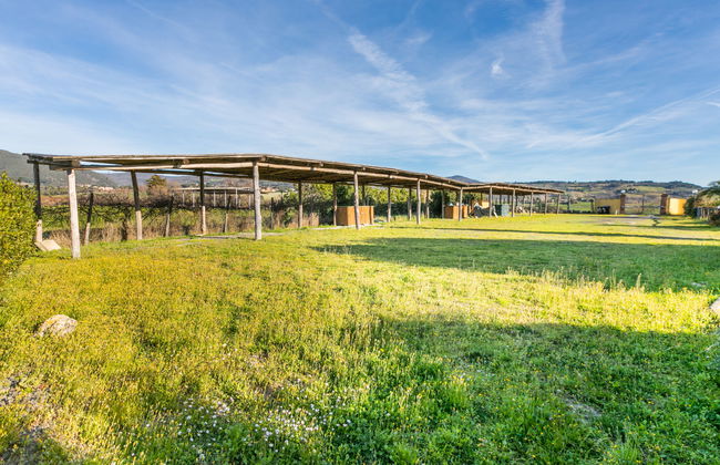 Apartamento de 2 quartos em Santa Luce com piscina e jardim - Foto 30