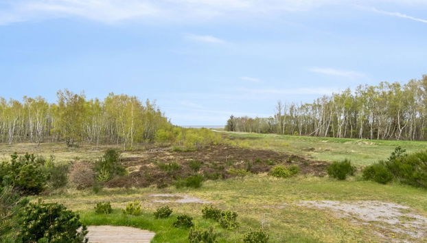 Maison de 3 chambres à Grenaa avec terrasse et sauna - Photo 5