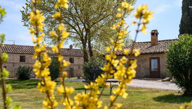 Fattoria Pieve A Salti - Foto 5