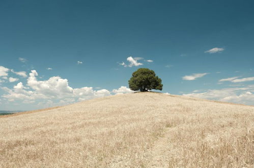 Photo 20 - Fattoria Pieve A Salti