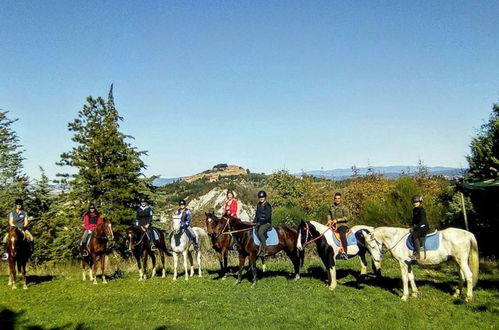 Photo 39 - Fattoria Pieve A Salti