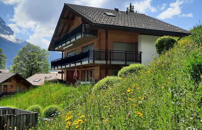Appartamento con 3 camere da letto a Grindelwald con terrazza - Foto 1