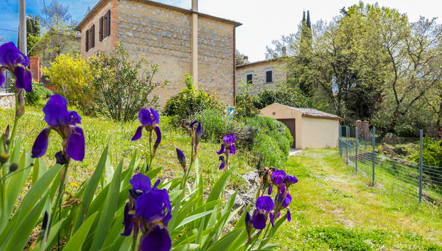3 bedroom House in Torrita di Siena with garden and terrace - Photo 2