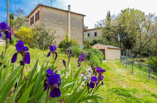 Foto 2 - Casa de 3 habitaciones en Torrita di Siena con jardín y terraza