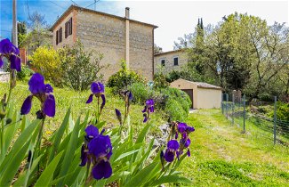 Foto 2 - Casa de 3 habitaciones en Torrita di Siena con jardín y terraza