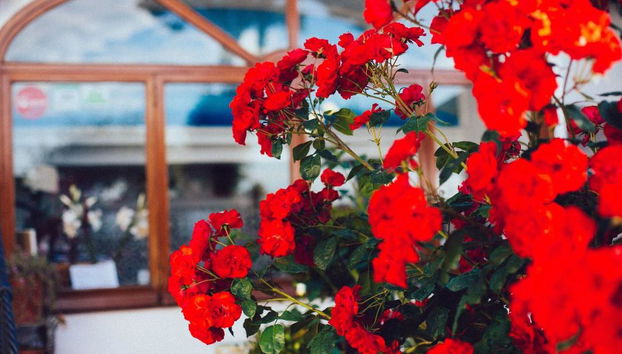 IL Giardino Dell'Arte - Guest House - Photo 3