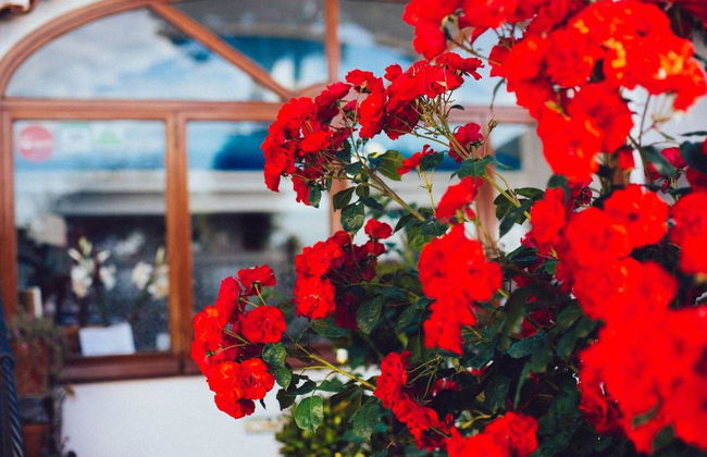 IL Giardino Dell'Arte - Guest House - Foto 3