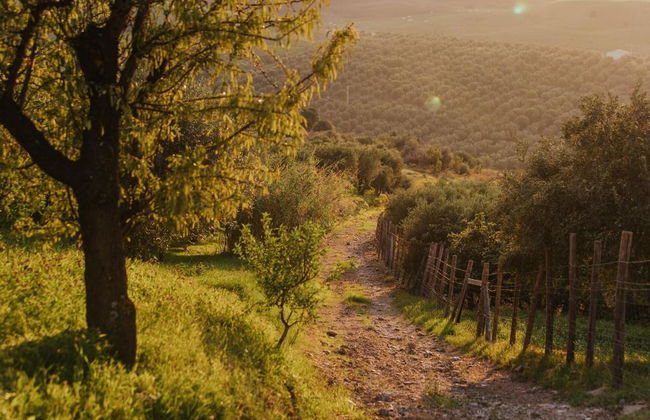 Terre Di Himera - Foto 25