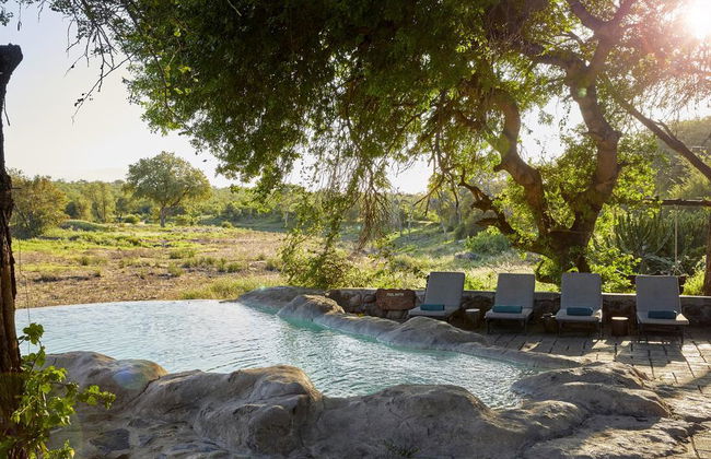 Motswari Private Game Reserve by Newmark - Foto 13