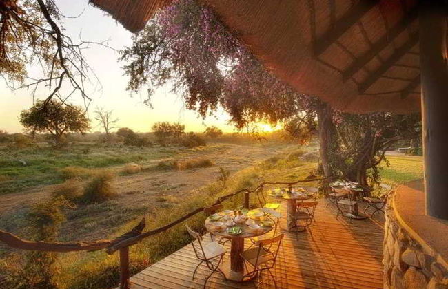 Motswari Private Game Reserve by Newmark - Foto 2