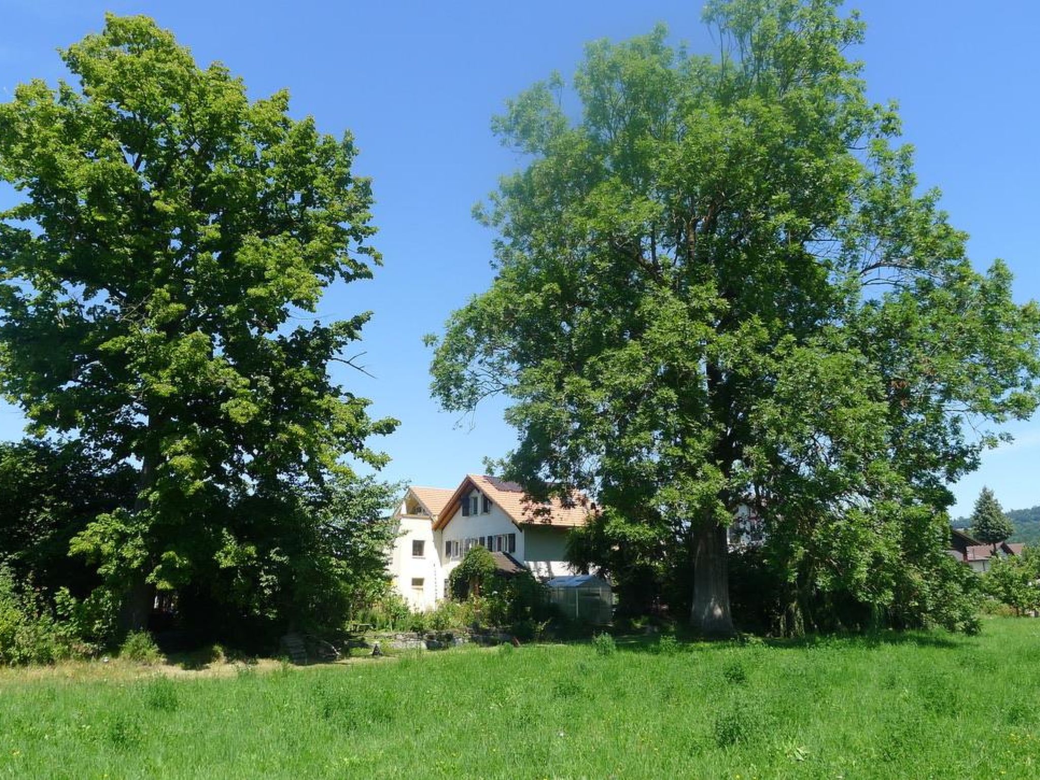 Foto 7 - Apartamento de 4 habitaciones en Steffisburg con jardín