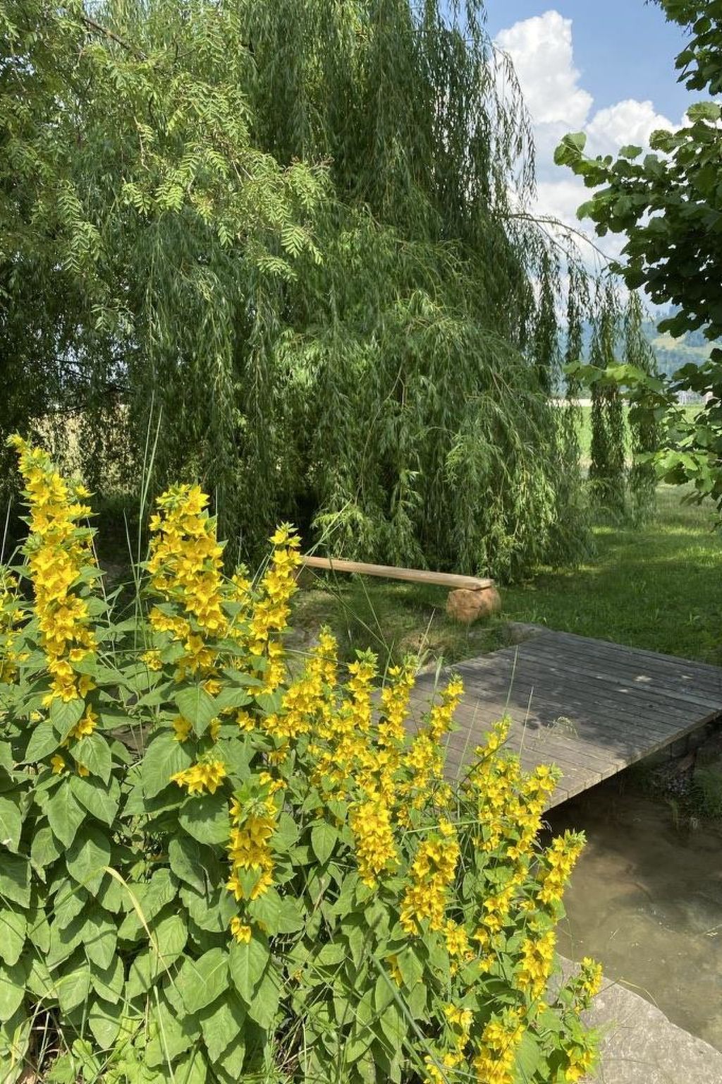 Photo 9 - Appartement de 4 chambres à Steffisburg avec jardin