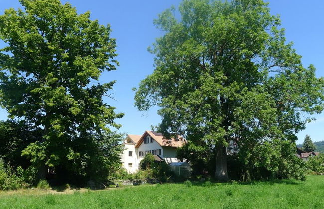 Apartamento de 4 quartos em Steffisburg com jardim - Foto 7