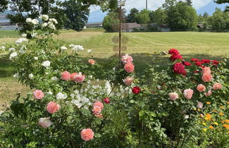 Foto 3 - Appartamento con 4 camere da letto a Steffisburg con giardino