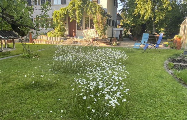 Apartamento de 4 quartos em Steffisburg com jardim - Foto 11