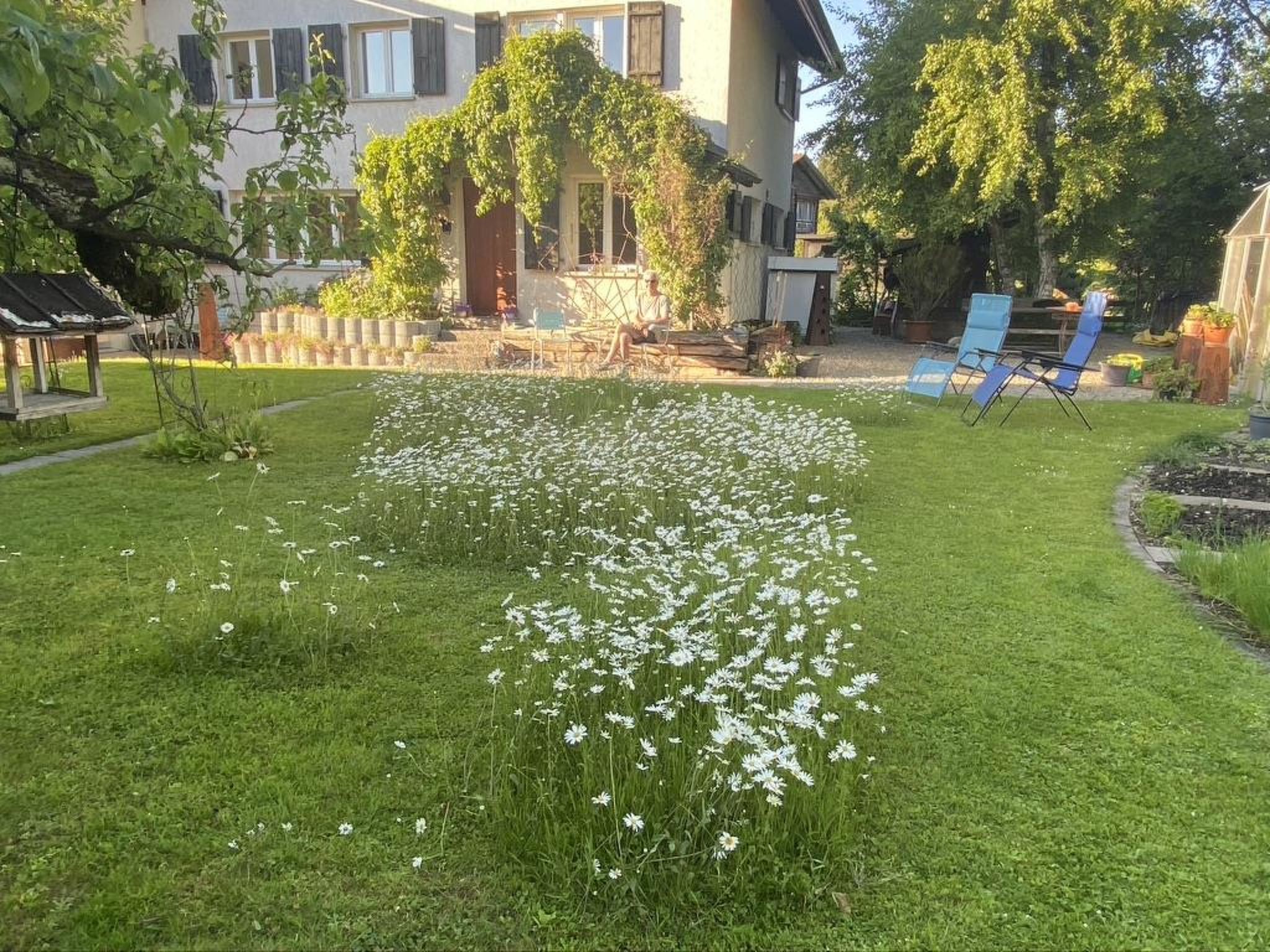 Photo 11 - Appartement de 4 chambres à Steffisburg avec jardin