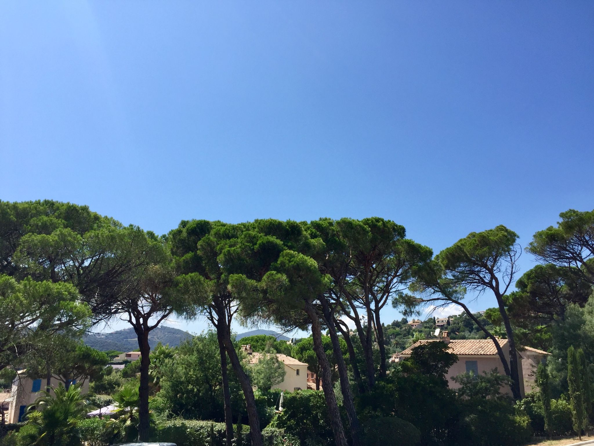 Foto 13 - Haus mit 2 Schlafzimmern in Roquebrune-sur-Argens mit schwimmbad und garten