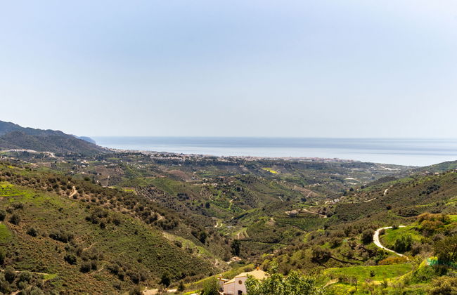 Las Vistas - Photo 25