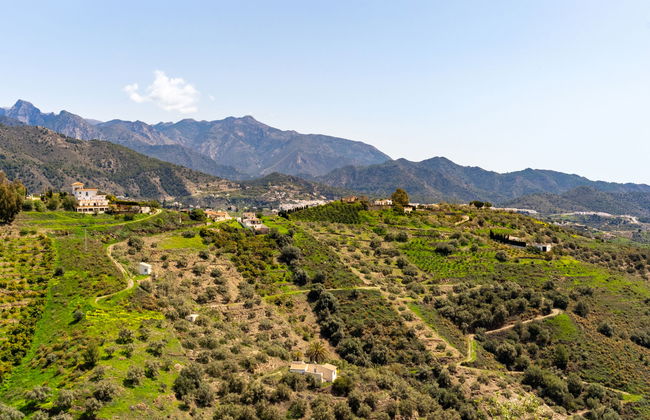 Las Vistas - Photo 24