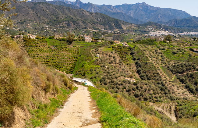 Las Vistas - Photo 23