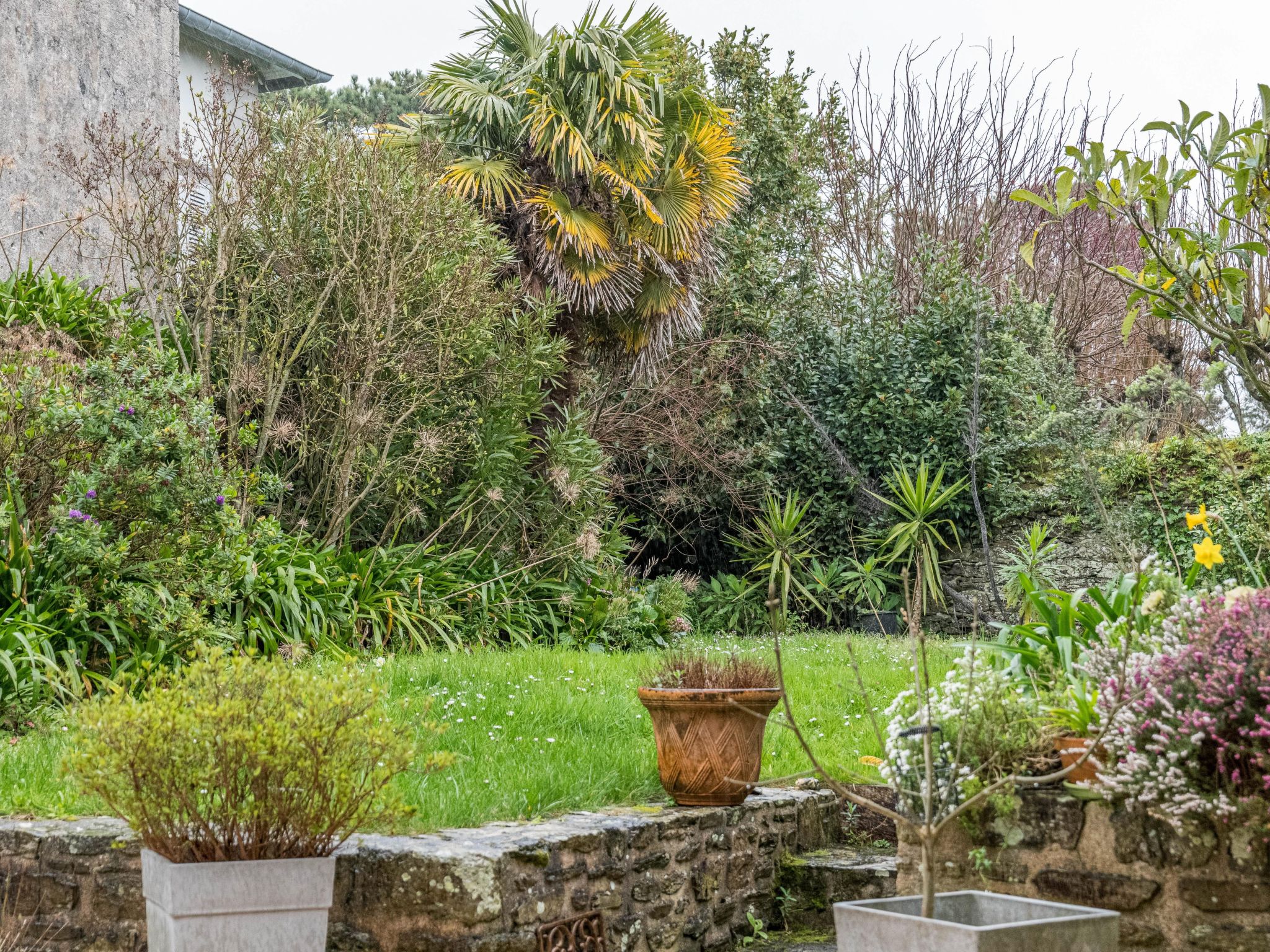 Photo 21 - Maison de 2 chambres à Cancale avec jardin et terrasse