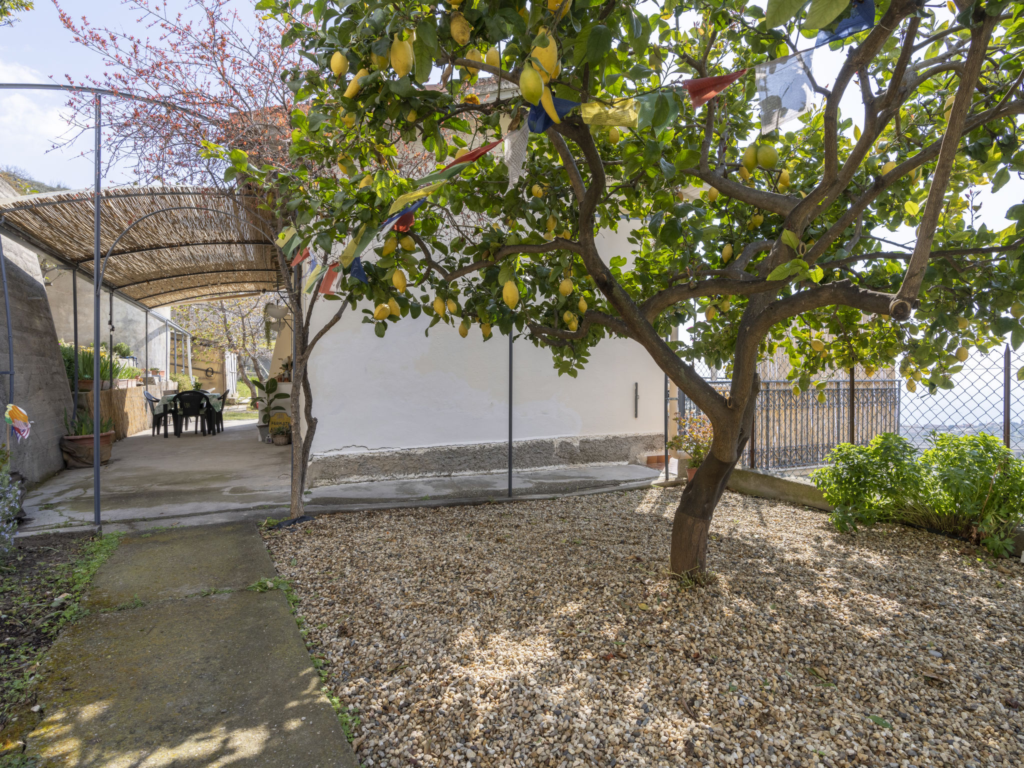 Photo 22 - Maison de 1 chambre à Sanremo avec jardin