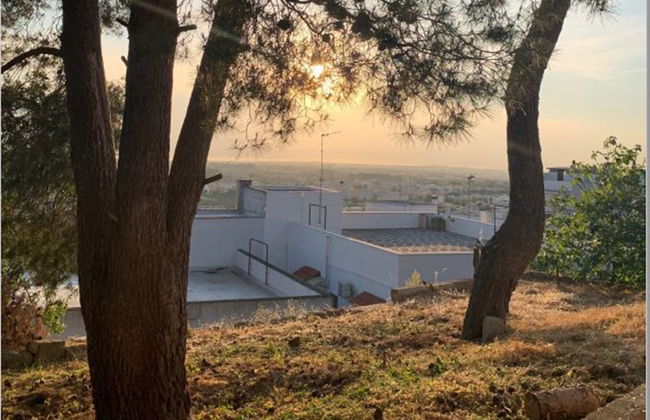 Apartamento de 2 quartos em Matino com jardim e terraço - Foto 31