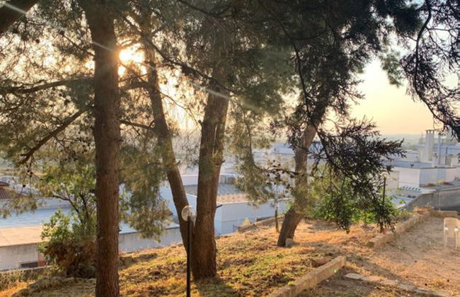 Apartamento de 2 quartos em Matino com jardim e terraço - Foto 30