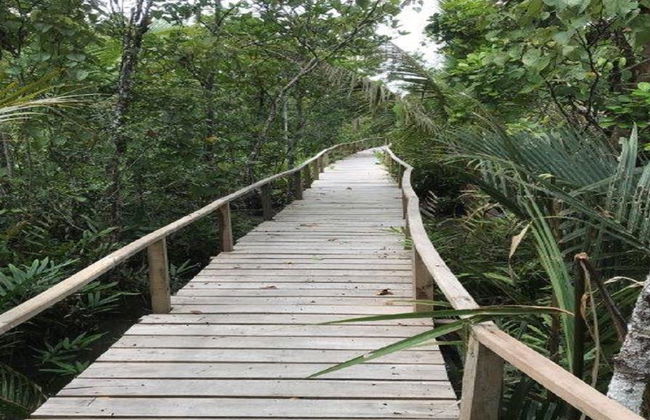 Excursión a Koba - Bangka Central - Foto 4