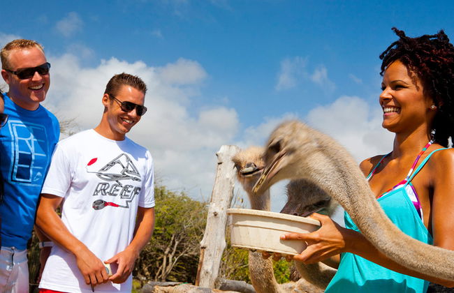 Tour en Land Rover por Baby Beach - Foto 3
