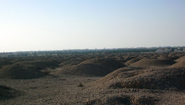 BAHRAIN HERITAGE TOUR - Foto 4