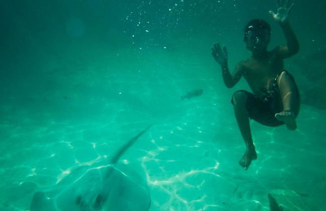 Seaquarium - Excursion en Catamaran - Photo 3