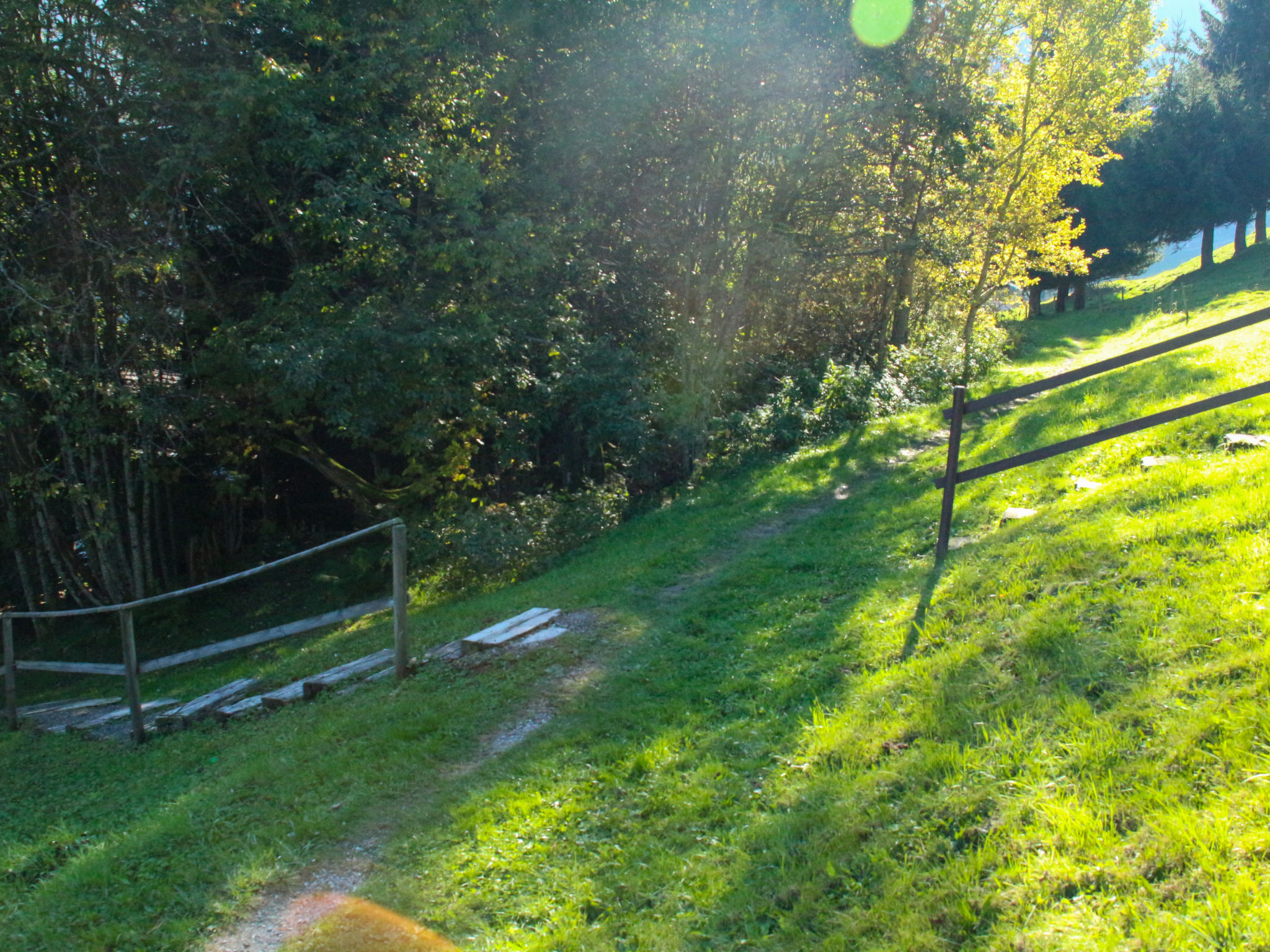 Foto 13 - Casa de 3 quartos em Gruyères com jardim e vista para a montanha