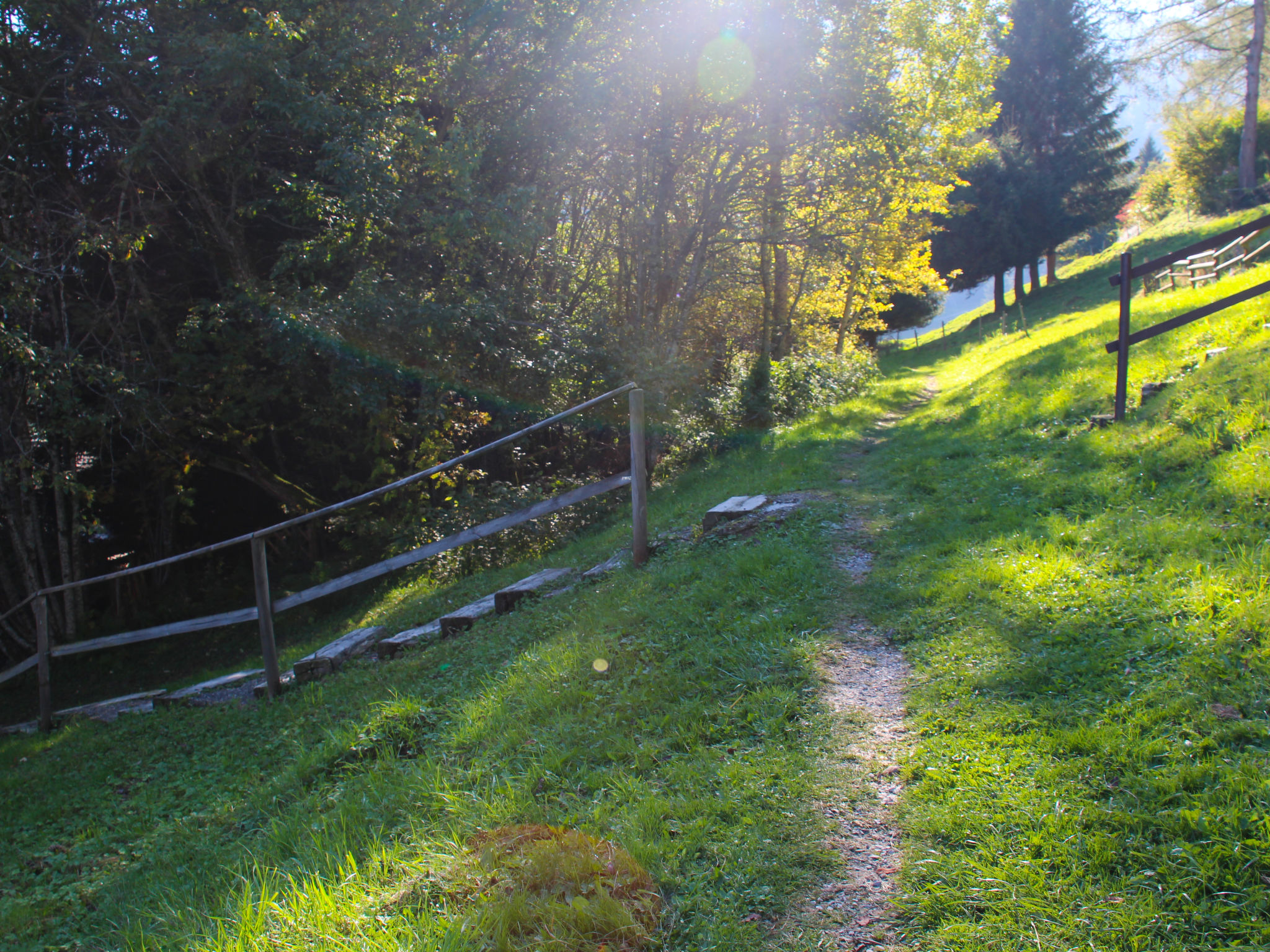 Photo 12 - Maison de 3 chambres à Gruyères avec jardin et vues sur la montagne