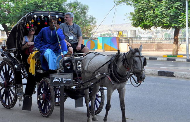 Recorrido privado por el mercado local en coche de caballos - Foto 4