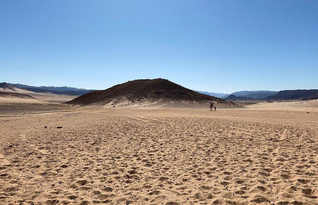 Descoberta da Terra Perdida - Foto 2