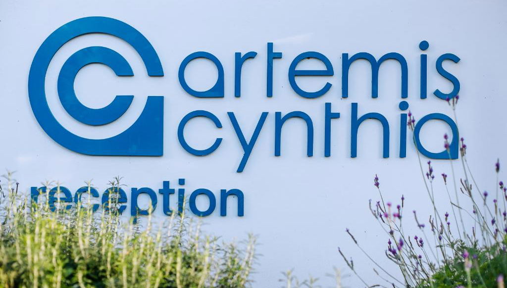 Artemis Cynthia Complex - Photo 1