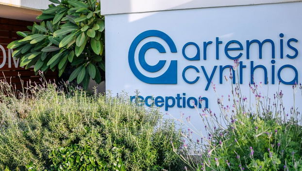 Artemis Cynthia Complex - Photo 2