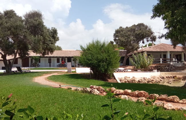 Binivell Park - Caliu Apartments - Foto 15