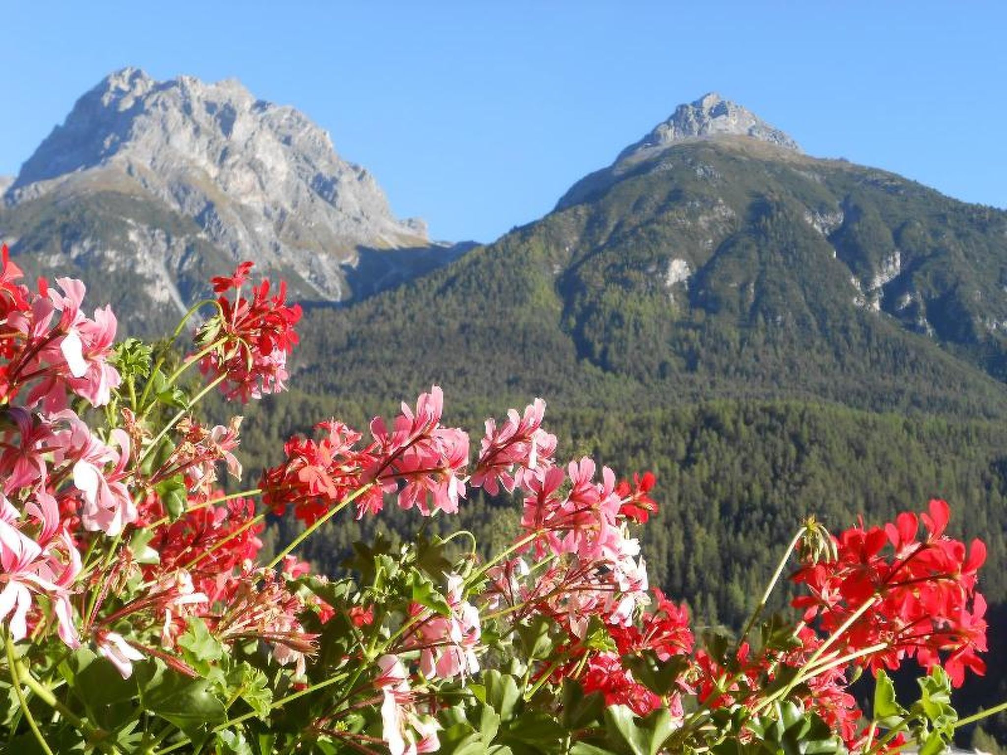Photo 4 - 2 bedroom Apartment in Scuol with mountain view