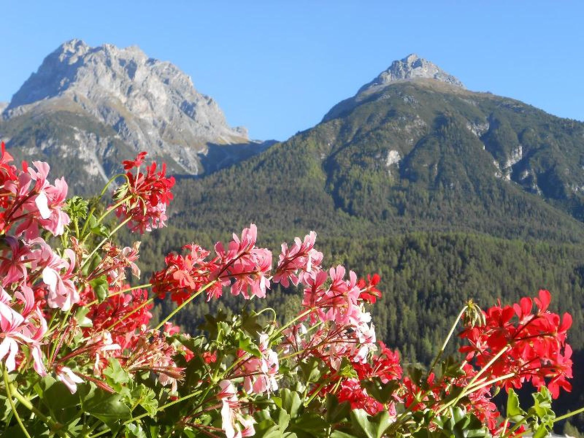 Foto 4 - Apartamento de 2 habitaciones en Scuol con vistas a la montaña