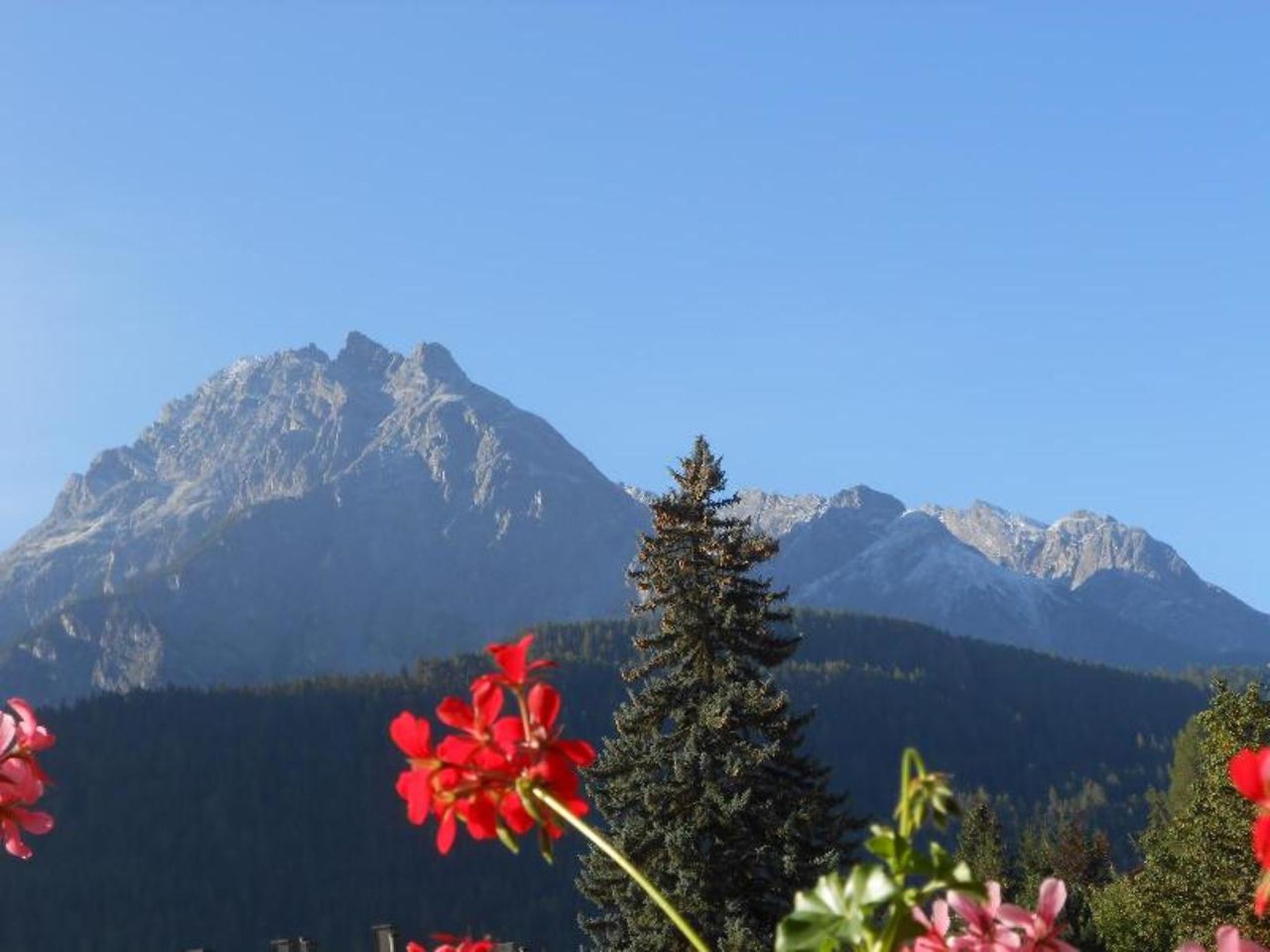 Foto 5 - Apartment mit 2 Schlafzimmern in Scuol mit blick auf die berge