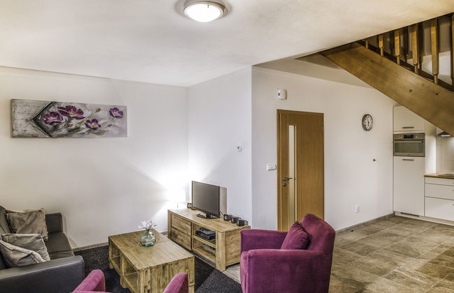 Casa de 2 quartos em Lipno nad Vltavou com jardim e terraço - Foto 9