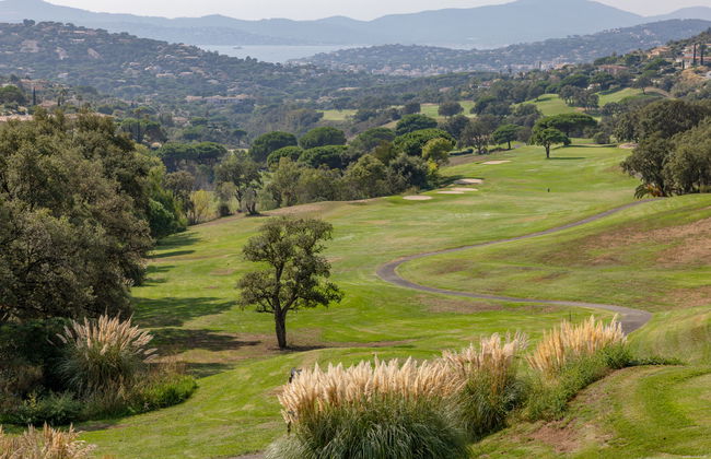 Les Mimosas - Foto 23