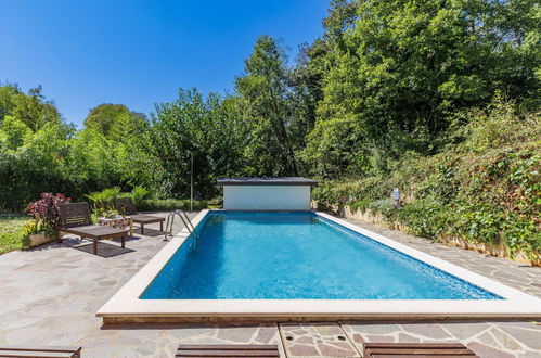 Photo 40 - Appartement de 4 chambres à Žminj avec piscine privée et jardin