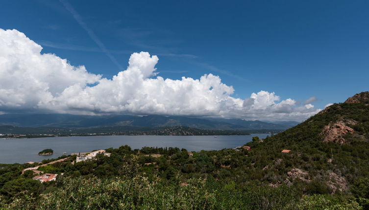 Photo 1 - Appartement de 1 chambre à Porto-Vecchio avec terrasse et vues à la mer