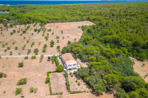 Photo 2 - Maison de 2 chambres à Santa Margalida avec jardin et vues à la mer