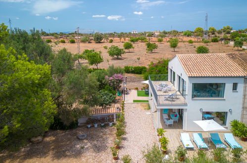 Foto 36 - Haus mit 2 Schlafzimmern in Santa Margalida mit garten und blick aufs meer